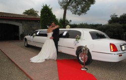 LIMOUSINE